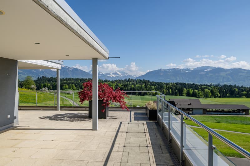 Stilvolle Attikawohnung mit Panorama & Privacy (1)