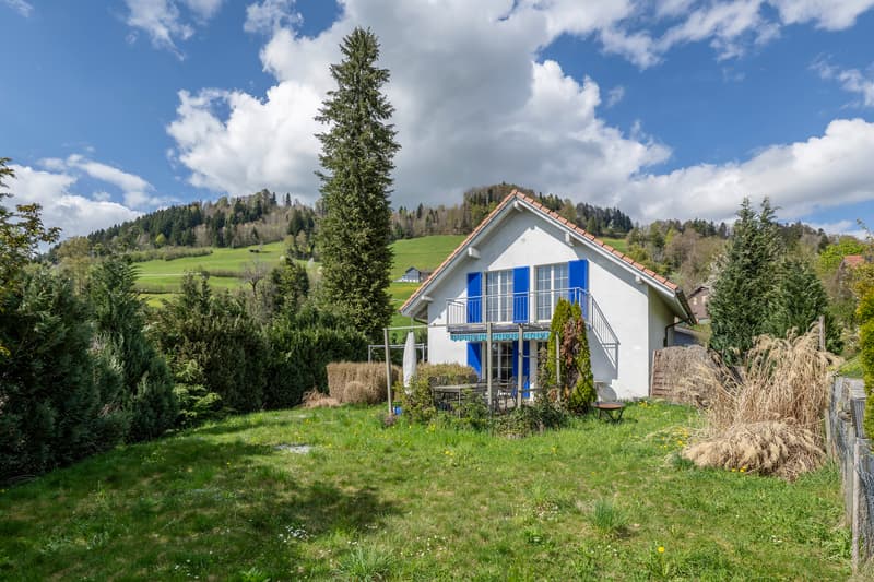 Sonniges Zuhause mit Raum für neue Ideen (1)
