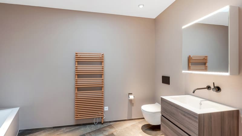 Bathroom: toilet, sink, large mirror, wall-mounted radiator, power outlet