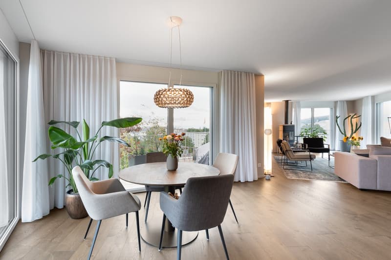 A round wooden table with chairs, a potted plant, white curtains, glass windows with a view, a round lamp, and a modern-style couch.