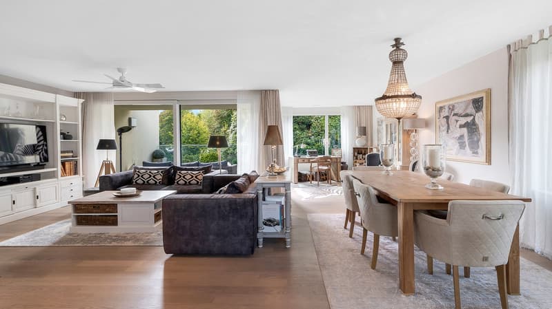 Profitez de l'été à Zurich – Attique exclusive avec vue lointaine (2)