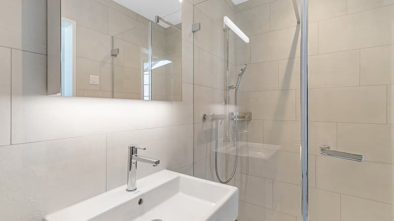 Neuf, moderne, avec balcon et serre (9)