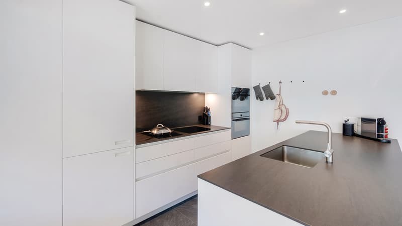 Modern & Elegant - Living in a Prime Location in Zurich-Wollishofen (6)