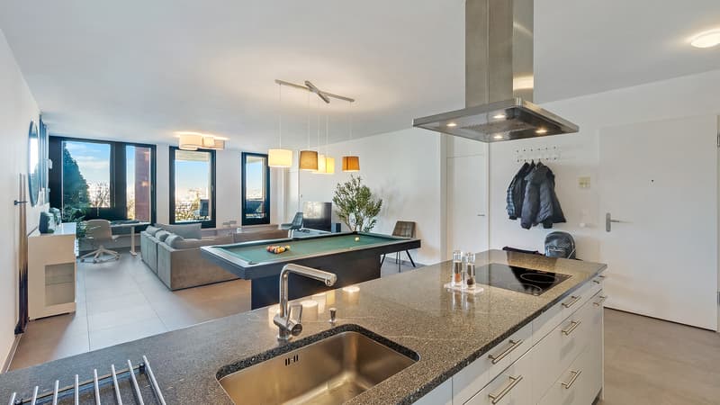Appartement attractif de 3,5 pièces avec vue panoramique (8)
