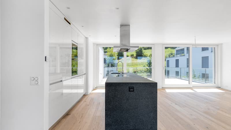 Attikatraum mit über 100qm Terrassenflächen (4)