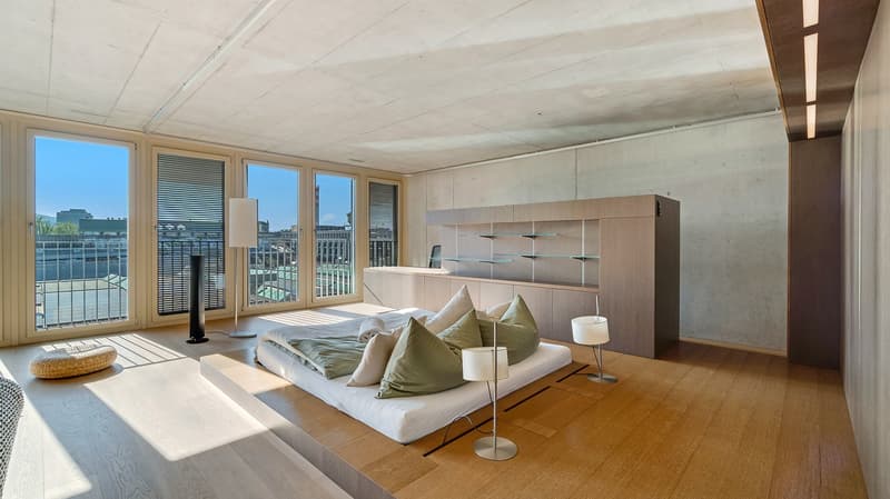 The Zurich Loft - Design. Stil. Beste Lage. (3)