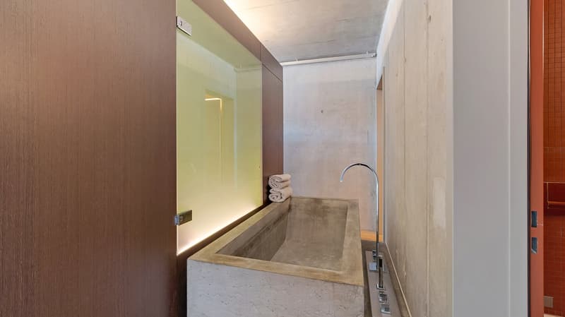 The Zurich Loft - Design. Stil. Beste Lage. (8)