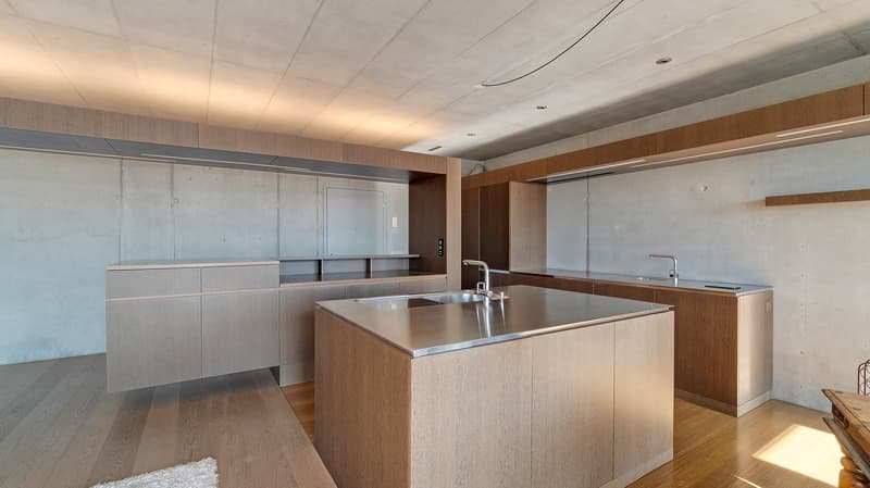 The Zurich Loft - Design. Stil. Beste Lage. (6)