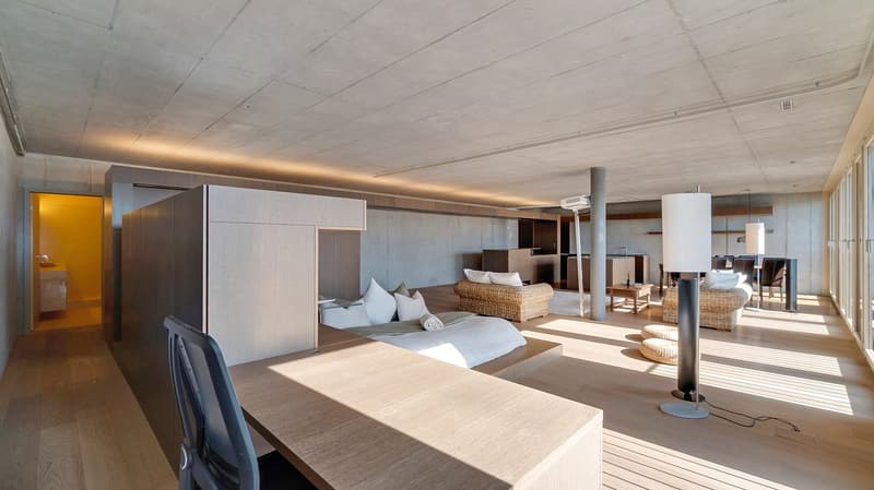 The Zurich Loft - Design. Stil. Beste Lage. (7)