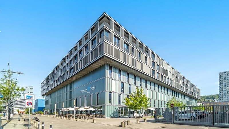 The Zurich Loft - Design. Stil. Beste Lage. (11)