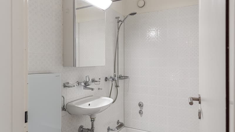 Helle 5.5-Zimmer-Wohnung mit Südwest-Balkon und Blick ins Grüne (8)