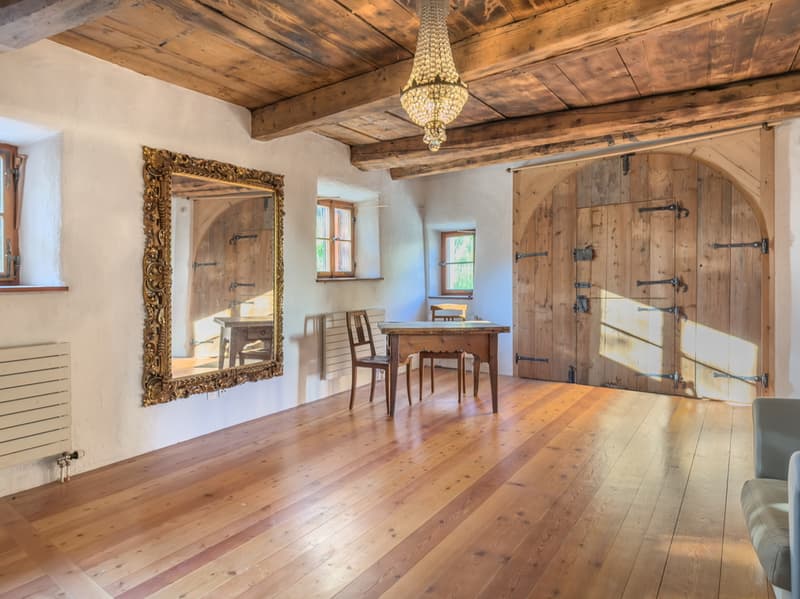Engadine residential culture with history and character (2)