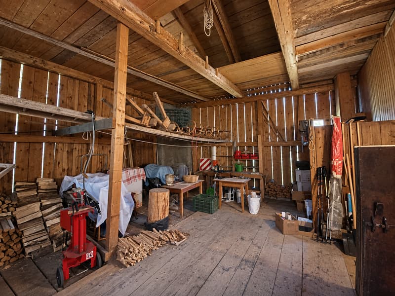 Ein Stück Engadiner Geschichte - historisches Wohnhaus mit Stallgebäud (9)