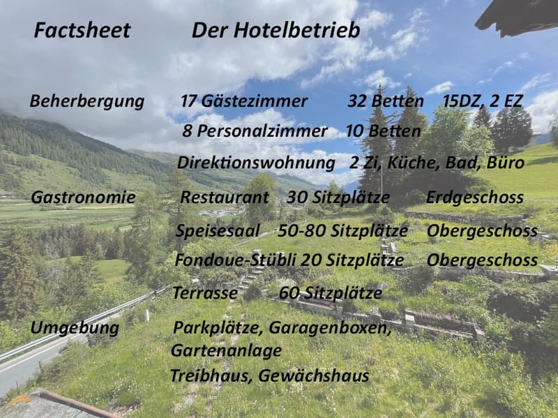 Stillgelegtes Golf-Garten-Hotel an traumhafter Lage in Scuol-Vulpera-T (4)