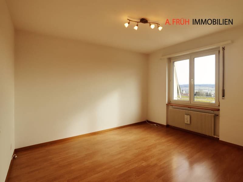Zimmer3