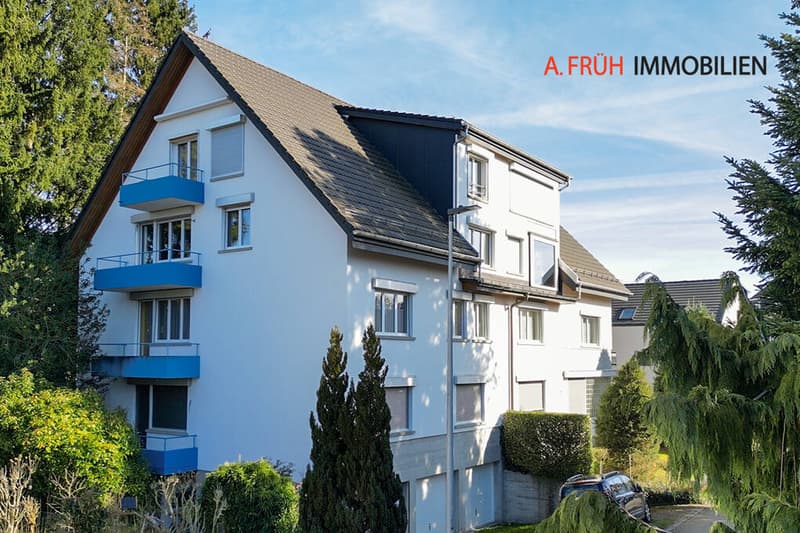 Elegant apartment with plenty of space, garage, and charming terrace by the stream (1)