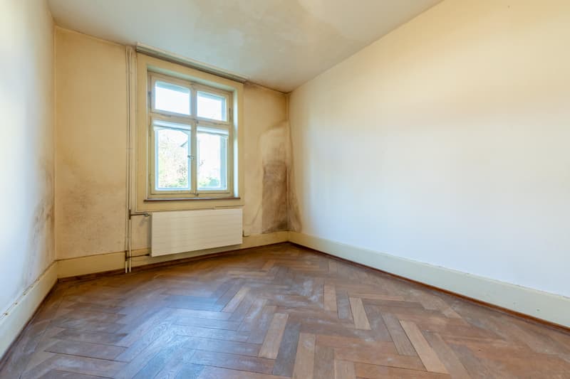 Maison jumelée avec potentiel de développement (3)