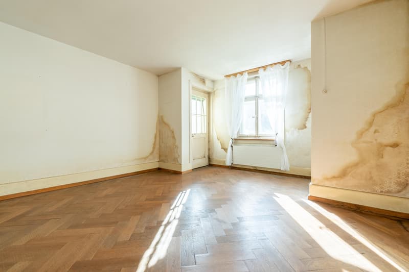 Maison jumelée avec potentiel de développement (5)