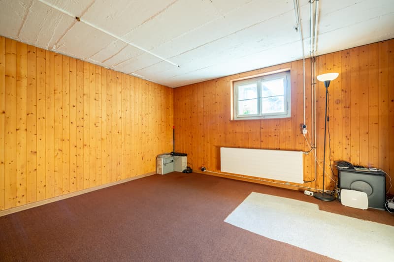 Doppelhaus mit Entwicklungspotenzial (8)