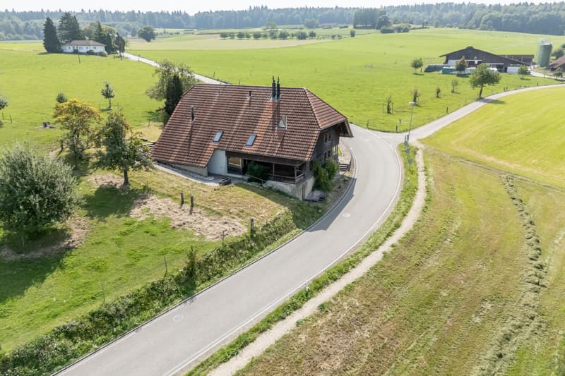 Rustic Home with Two Residential Units (1)