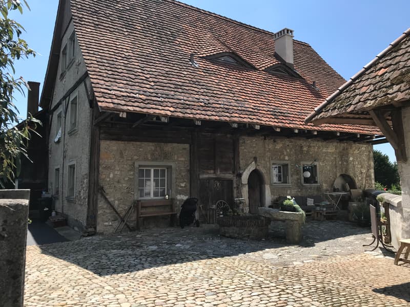 Unique estate in Niederbipp (1)