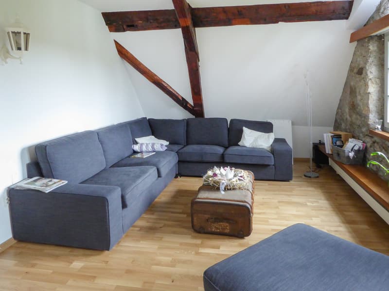 Unique estate in Niederbipp (3)