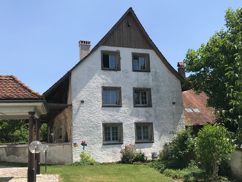 Unique estate in Niederbipp (2)