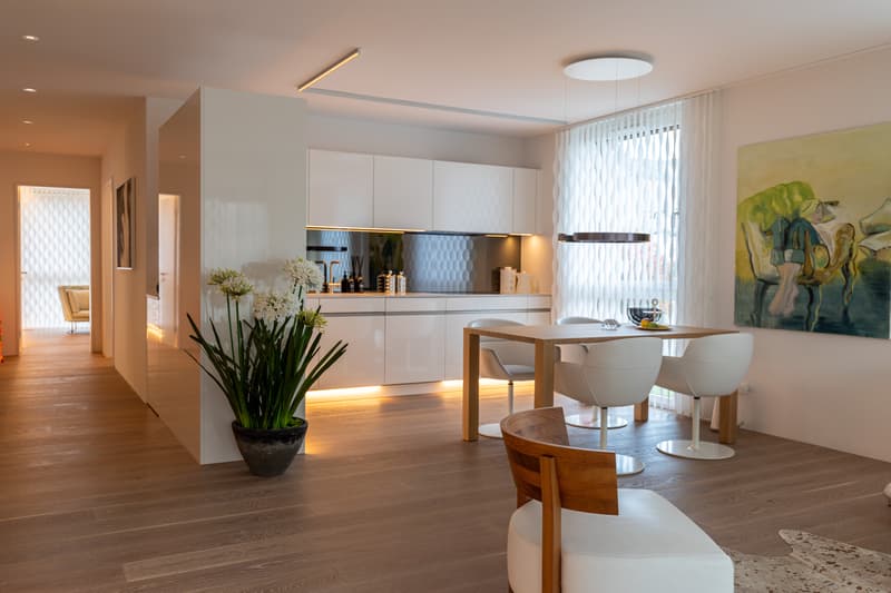 Elegant living in a modern atmosphere (1)