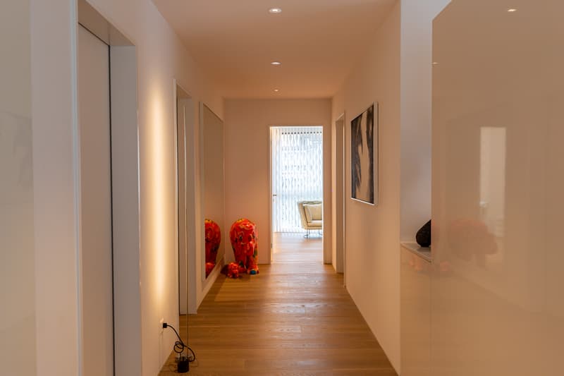 Elegant living in a modern atmosphere (2)
