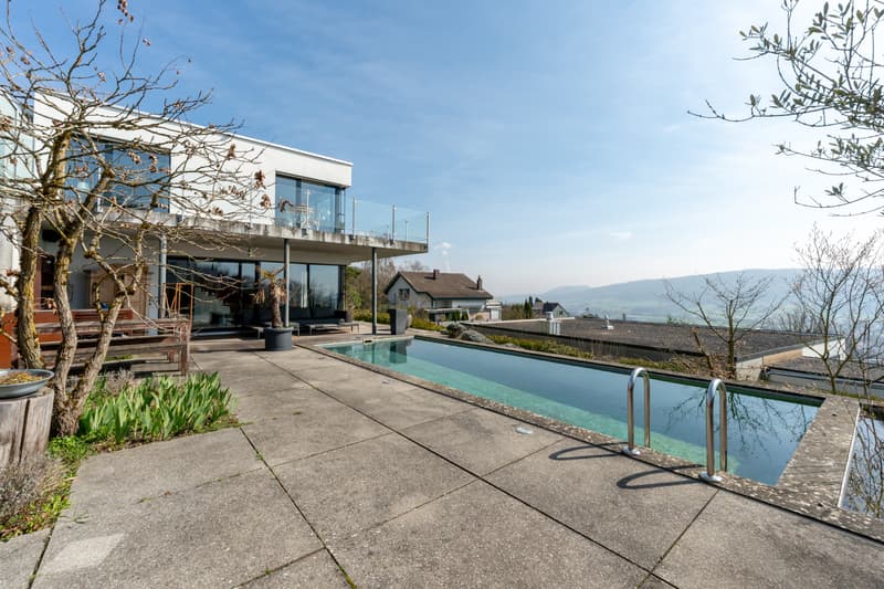 Modern design house with loft pavilion and pool (1)