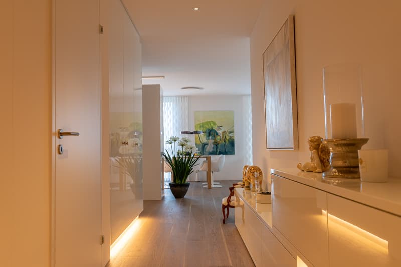 Habitation élégante dans une atmosphère moderne (3)