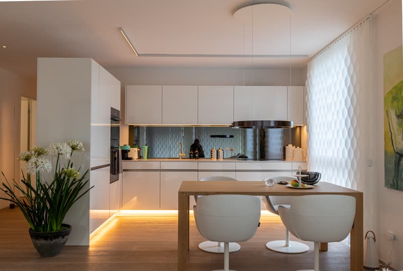Habitation élégante dans une atmosphère moderne (7)
