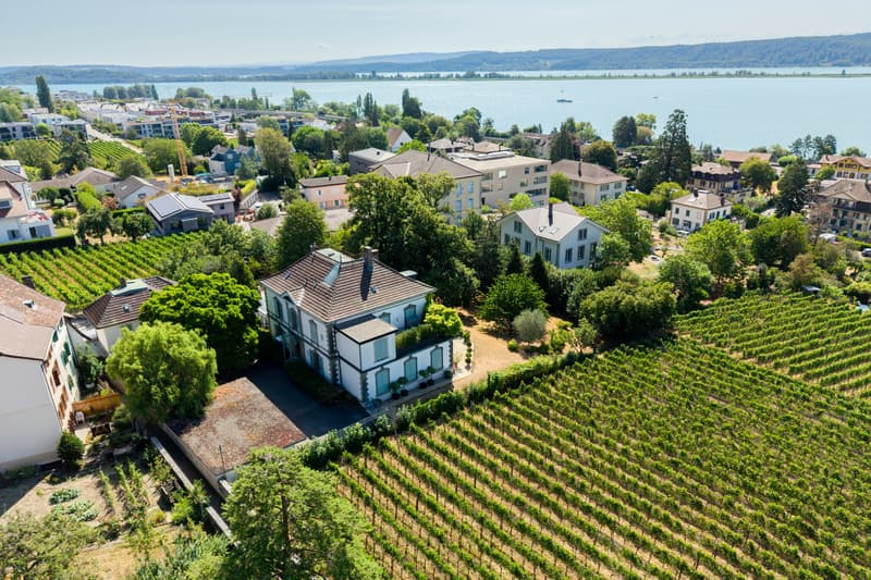 Coming Soon - Villa in the Park near the Lake (5)