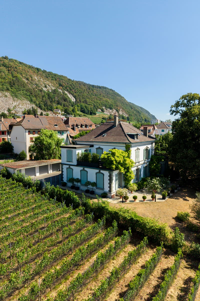Coming Soon - Villa in the Park near the Lake (2)