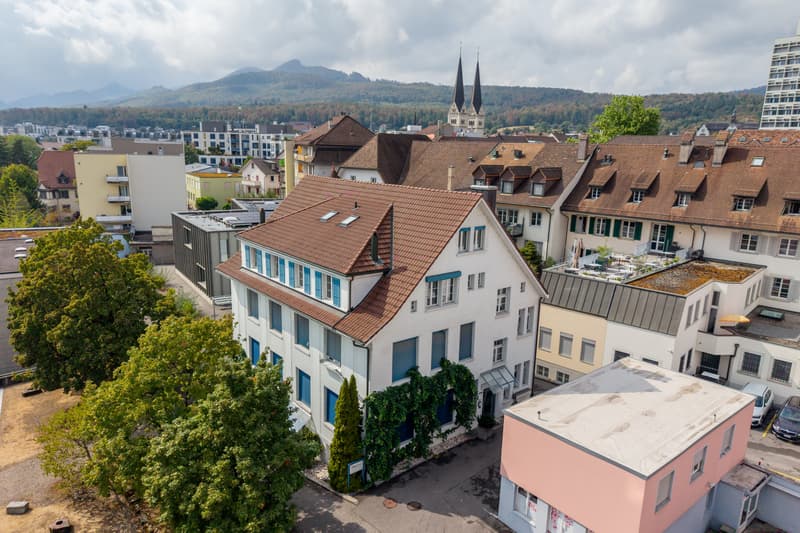 Modernisierter Wohntraum im Herzen von Olten (1)