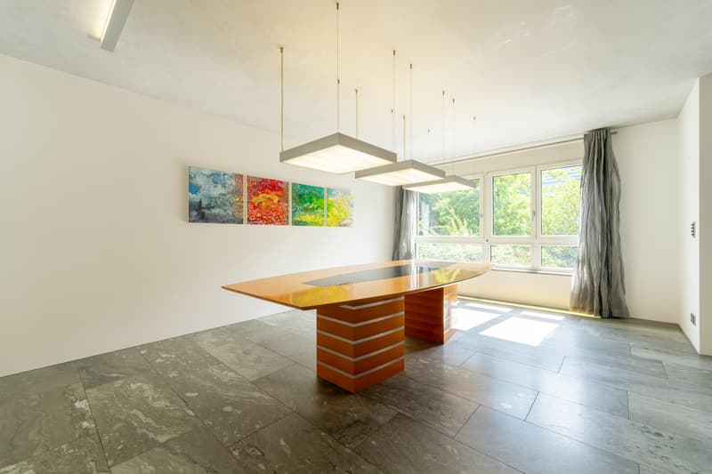 Lichtdurchfluteter Wohntraum in Langenthal (3)