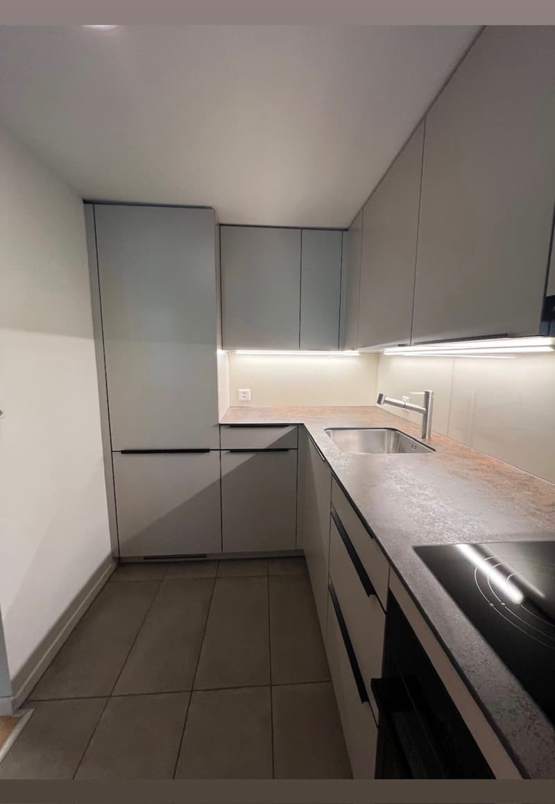 Moderne 1-Zimmer-Wohnung mit stilvoller Küchen- und Badrenovierung in Seenähe (2)