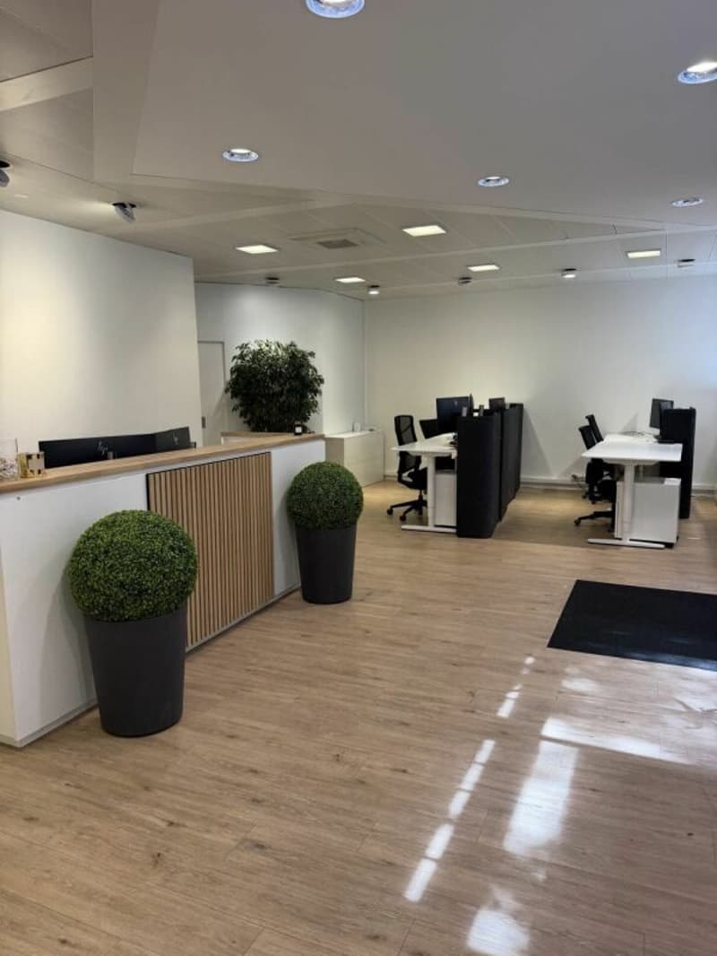 Helles Büro an zentraler Lage in St.Gallen mit attraktiver Schaufensterfront (2)