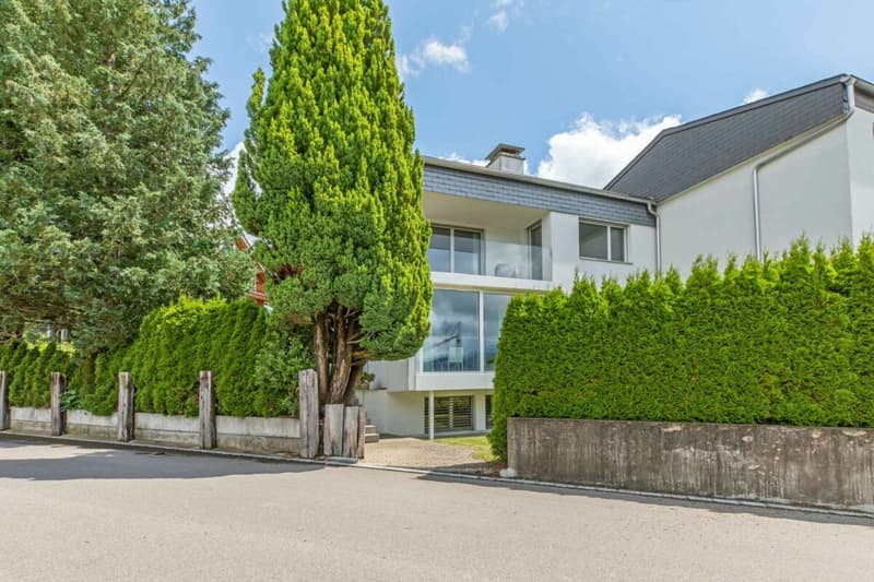 6.5-Zimmer-Einfamilienhaus mit Garten, Cheminée und Bergpanorama (1)