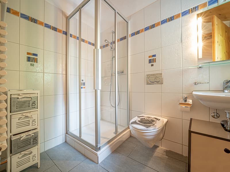 Charming primary residence in Sils Maria (6)