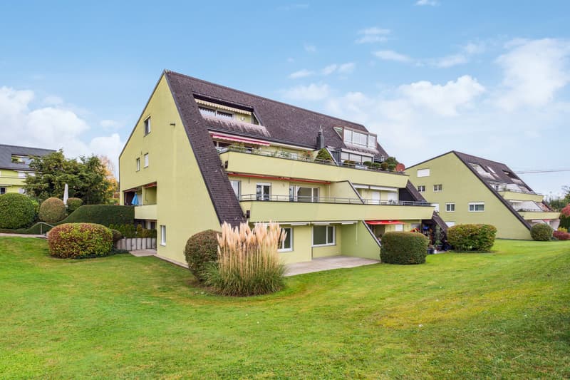 Sanierte 2.5-Zimmer-Wohnung im Grünen in Thalwil (1)
