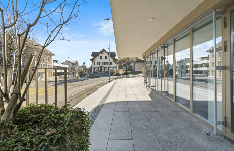 modern building, glass facade, paved walkway, street lights, greenery on the side