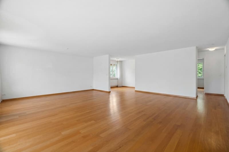 Appartement flexible avec beaucoup de potentiel et situé dans un endroit calme à Uitikon (2)