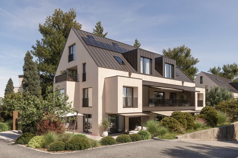 Nuova costruzione N10: Appartamento maisonnette 3,5 locali (2)