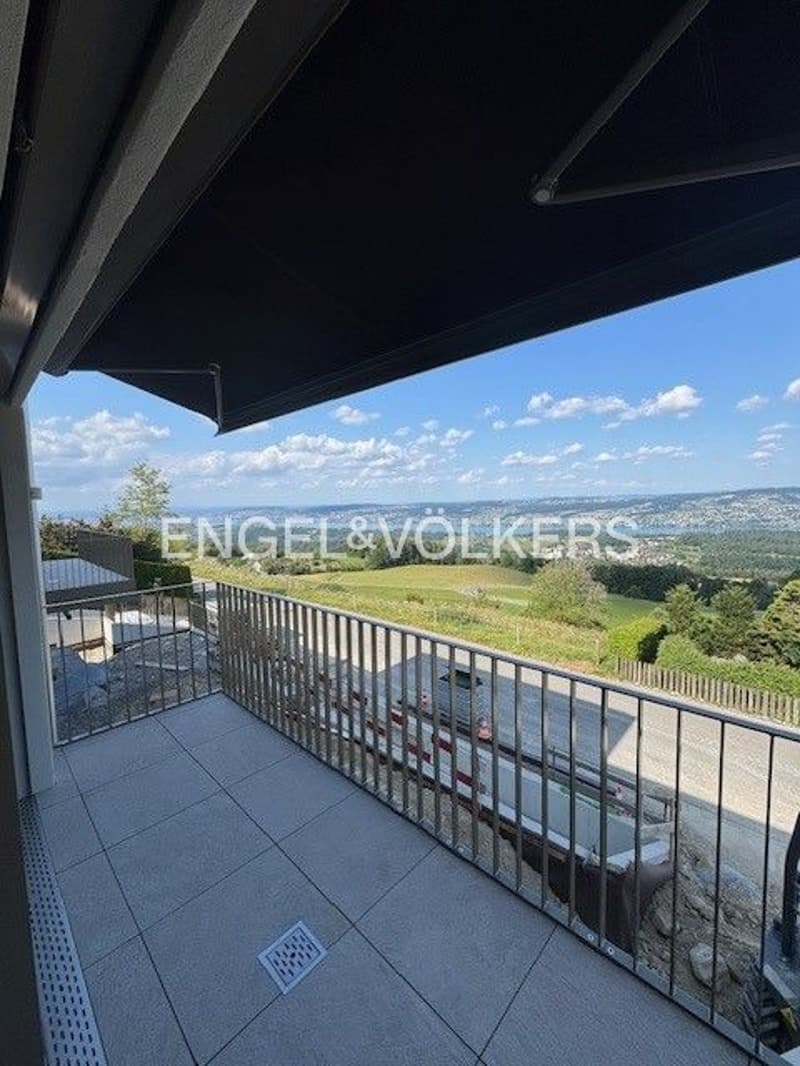 Exklusive 2.5-Zimmer-Wohnung mit Panoramablick auf Zürichsee, Alpen un (7)