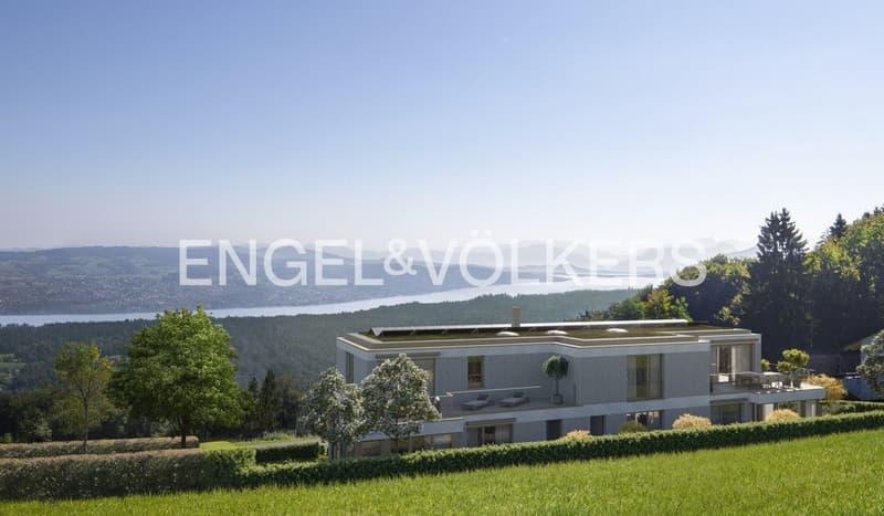 Appartement exclusif de 2,5 pièces avec vue panoramique sur le lac de Zurich, les Alpes (4)