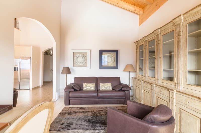 Appartamento penthouse maisonette attraente (2)