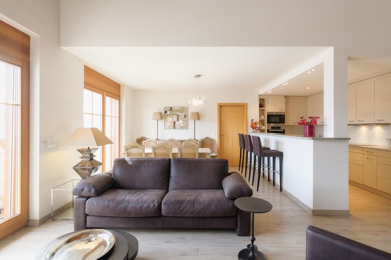 Appartamento penthouse maisonette attraente (6)