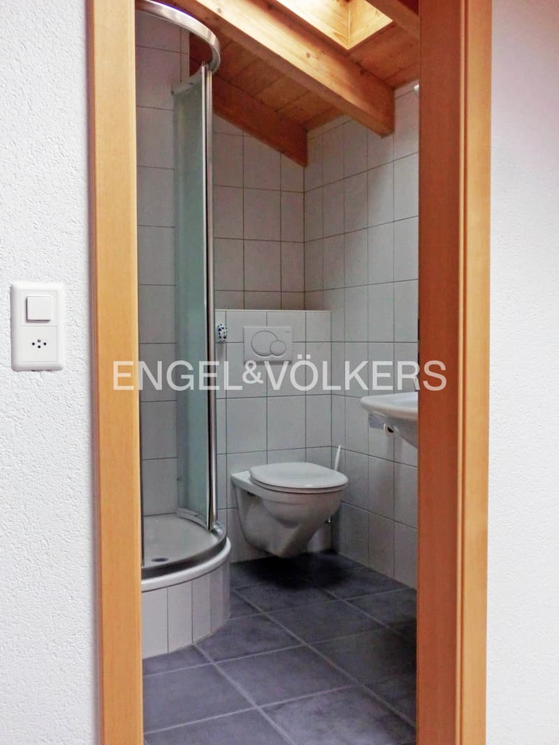 6.5-Zimmer-Duplex-Wohnung an bester Lage in Visp (10)