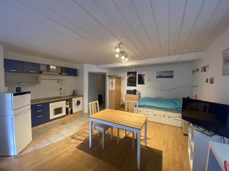Perfekt gelegene 1-Zimmer Mietwohnung in Visp (6)